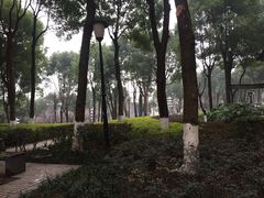 -重庆市江北嘴中央商务区中央公园