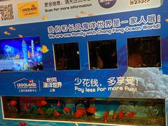 -上海乐高探索中心