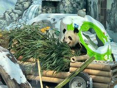 -鄂尔多斯野生动物园