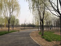 -东郊湿地公园