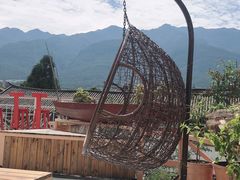 -喵屿·大理花园猫咖