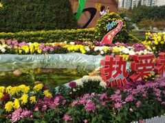 -西北湖绿化广场