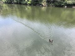 -安吉涵田度假村·水榭居中餐厅