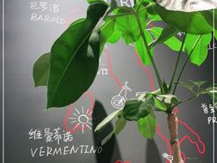 -MOMENTI手工意面(晶耀前滩店)