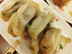 鲜肉锅贴-小姜锅贴(凤凰街店)