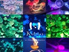 游乐设施-上海海昌海洋公园