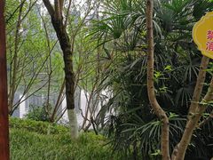 -重庆彩云湖湿地公园