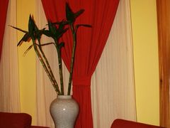 包间-皇城根茶馆(兴隆都市馨园店)