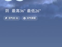 -光明港公园