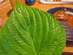 -新石器烤肉(南站店)