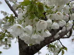 -玄武湖景区-情侣园游乐场