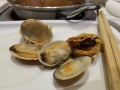 扇贝-龍歌自助小火锅(李沧丽达店)