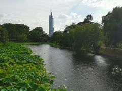 -紫峰大厦