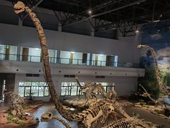 -自贡恐龙博物馆