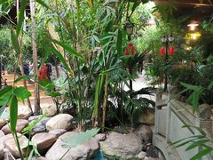 -大鹅岛绿色生态美食园