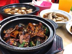 瓦煲干肉骨茶-新记肉骨茶
