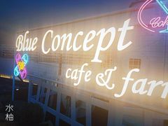 门面-Blue Concept Cafe&Farm·關於藍