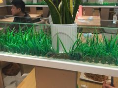 -嘉和一品粥(魏公村店)