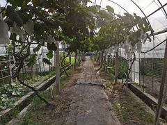 -美家乐农庄·露营·团建(大治路店)