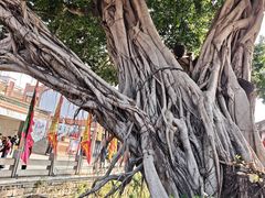 -肯德基(龙湖店)