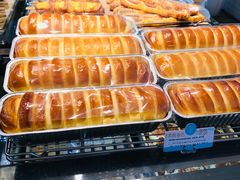 -蒲公英(五里店)