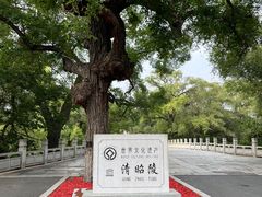 -北陵公园