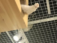 -小时光咖啡馆(开森度假森林店)