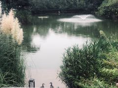 -木守西溪溪隐餐厅