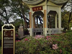 -江心屿景区