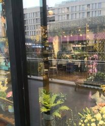 -苏宁环球套房饭店·宴会厅