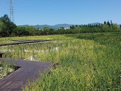 -永定河休闲森林公园