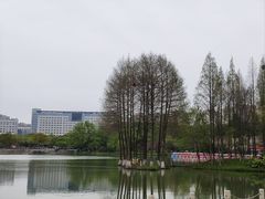 -青枫公园