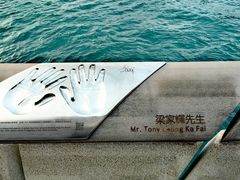 -星光大道