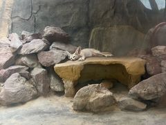 -广州长隆飞鸟乐园