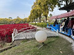 -广东花都香草世界旅游度假区