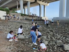 -宝安西湾红树林湿地公园