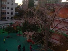 -北京林业大学幼儿园