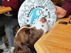 -Grande A'moo(上海万象城店)