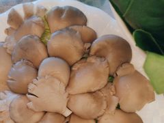 -京都蝎府羊蝎子火锅(珠市口店)