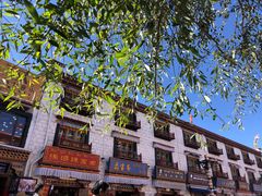 -古树酸奶(八廓南街店)
