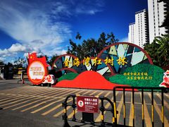 -北海金海湾红树林生态旅游区