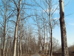 -东郊湿地公园