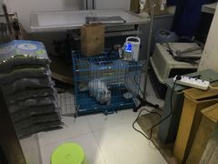 -嘉宠动物医院