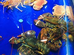 -盒马鲜生(新都心店)
