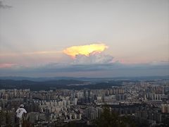 -长虫山生态公园风景林