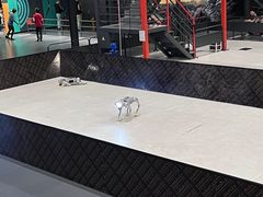 -极限PLAY运动娱乐新世界·团建派对表演休闲馆·室内高空游乐园