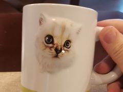 -猫岛主趣味餐厅(鼓浪屿店)