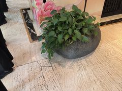 -洛阳宴·洛阳菜(南昌路店)
