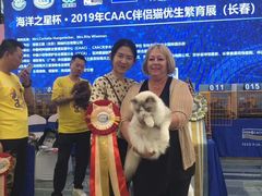 -青奢宠物·青奢猫舍