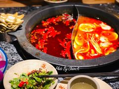 鸳鸯锅-蜀大侠火锅(四川北路店)